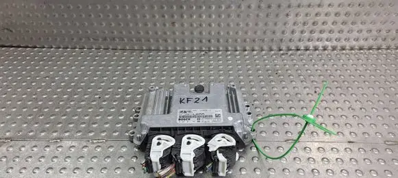 Engine control unit/module ECU