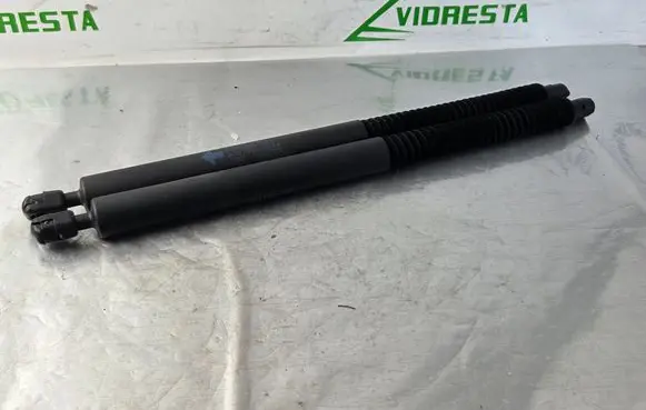 Tailgate/trunk strut/damper