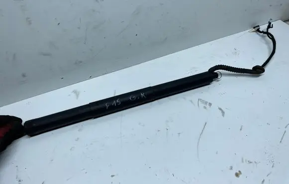 BMW X5 F15 Tailgate/trunk strut/damper 18202210