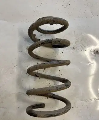 Rear coil spring