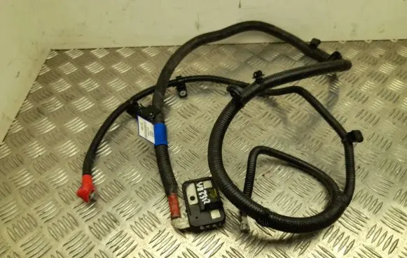 Dacia Spring Other wiring loom 296951442R