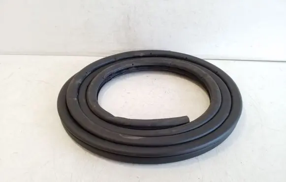 Nissan Leaf I (ZE0) Front door rubber seal 