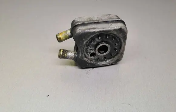 Volkswagen PASSAT B5.5 Engine oil radiator 028117021B