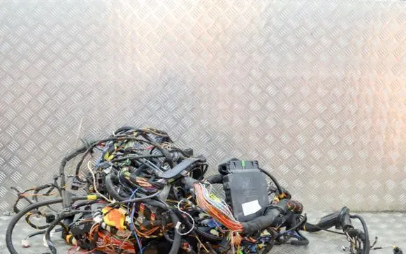 Porsche Cayman 987 Other wiring loom 99761030100