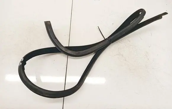 Skoda Superb B5 (3U) Rubber seal rear door