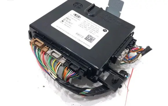 KIA Rio Other control units/modules 954B0-H8720