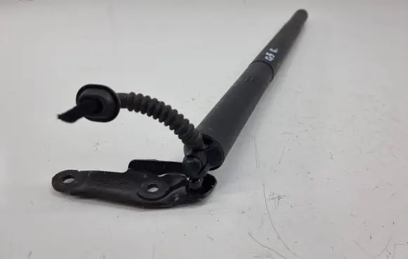 Audi Q5 SQ5 Tailgate strut 80F827851B