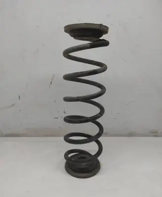 Skoda Octavia Mk2 (1Z) Rear coil spring