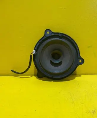 Rear door speaker
