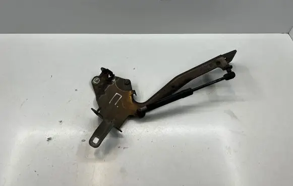Renault Scenic III - Grand scenic III Engine bonnet/hood hinges