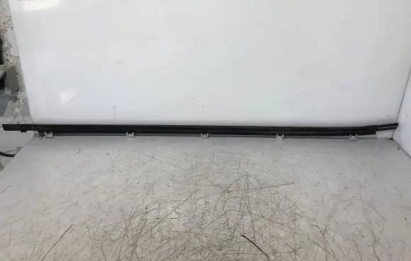 Honda Civic IX Front door glass trim molding 