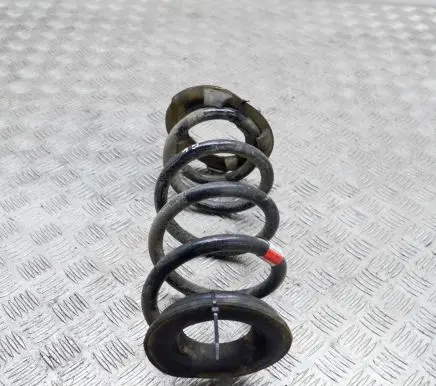Tesla Model 3 Rear coil spring 104447201E