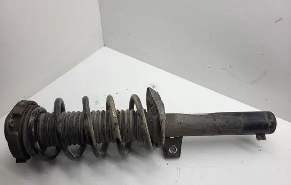 Volkswagen PASSAT B7 Front shock absorber with coil spring 3C0413031C