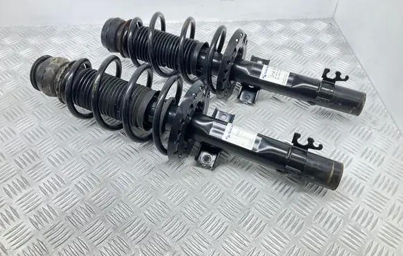 Skoda Rapid (NH) Front shock absorber/damper 314717 79195 824903016912