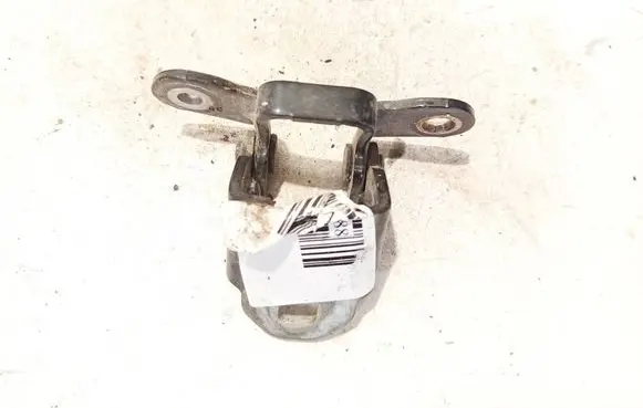 Rear door lower hinge