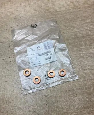 Citroen C3 Fuel injector 198169 4PCS