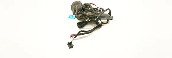 Audi A4 S4 B9 Front door wiring loom 8W0971029