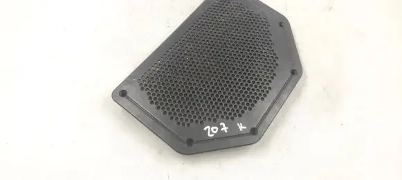 Side speaker trim/cover