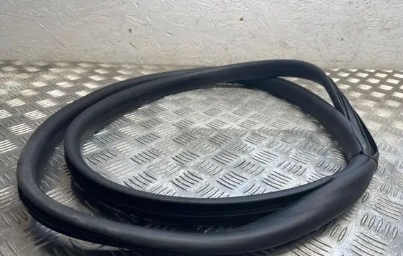 Dacia Sandero III Front door rubber seal 