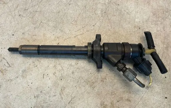Citroen C4 I Picasso Fuel injector 0445110311 620033