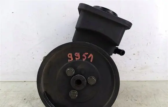 BMW 5 E39 Power steering pump 1095749