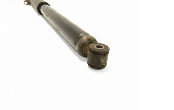 Ford C-MAX II Rear shock absorber/damper AV6118080AAH