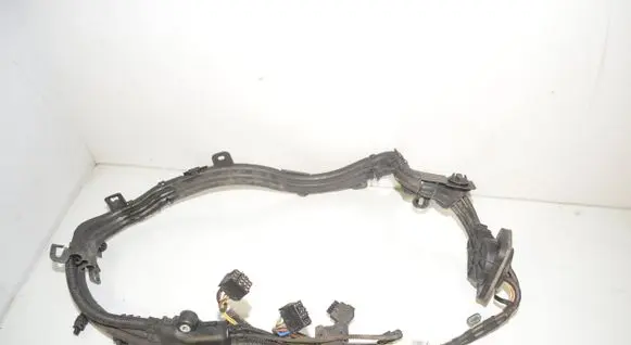 BMW X6 E71 Other wiring loom 7575579 12517575579 12517570295