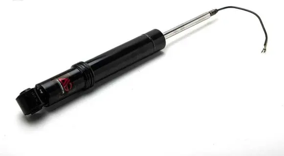 Porsche Cayenne (92A) Rear shock absorber/damper 95835802040 95835801951 95835802042