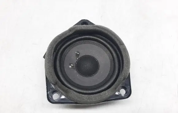Front door speaker