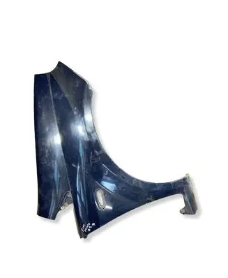 Fiat Punto (199) Fender 
