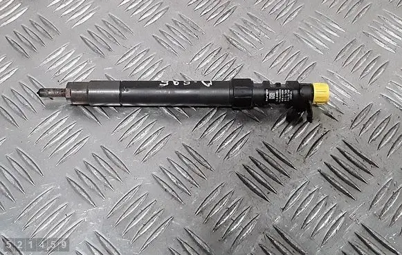 Peugeot 508 Fuel injector 9686191080 EMBR00101D