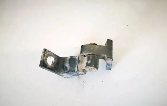 Skoda Yeti (5L) Rear door lower hinge 8k0831401a