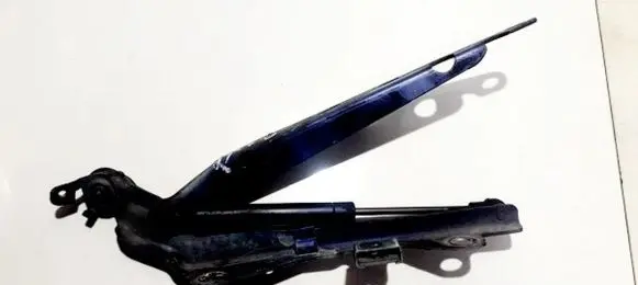 Volvo S60 Tailgate/trunk/boot hinge