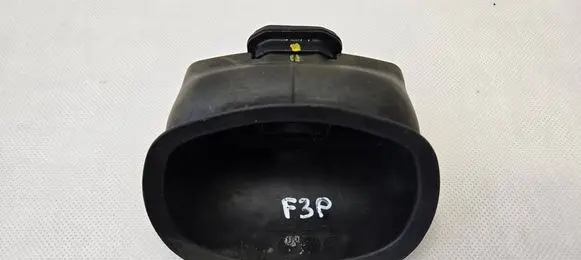 Renault Trafic III (X82) Front door rubber seal 808949039R