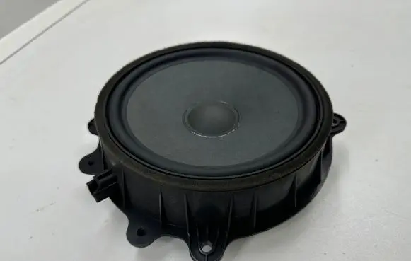 Tesla Model 3 Front door speaker 107974400E 15112206L21A 11647001