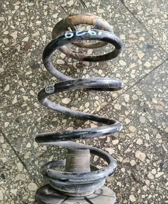 Rear coil spring