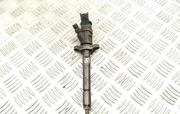 Citroen C3 Fuel injector 0445110311