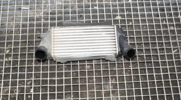 Ford Ecosport Intercooler radiator C1B19L440AC