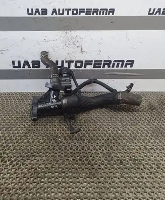 Thermostat/thermostat housing