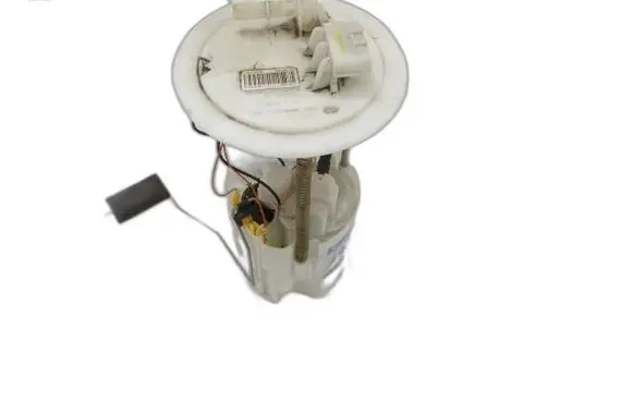 Renault Kadjar In-tank fuel pump 0580200203