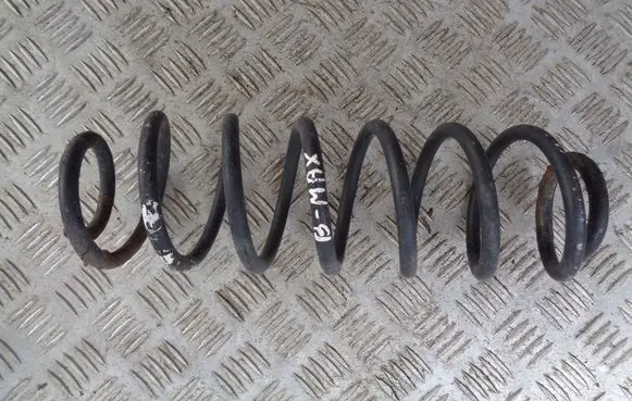 Rear coil spring