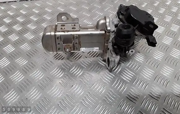 EGR valve cooler