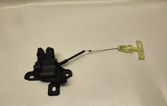 Ford Mustang VI Tailgate/trunk/boot lock/catch/latch FR3B6343282BB