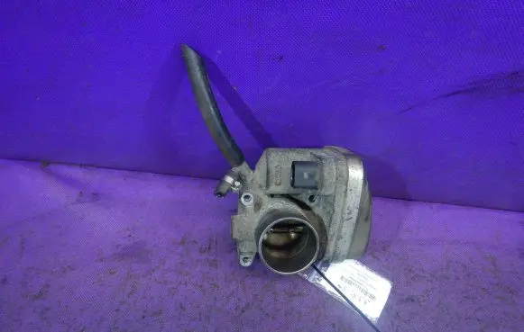 Throttle body valve
