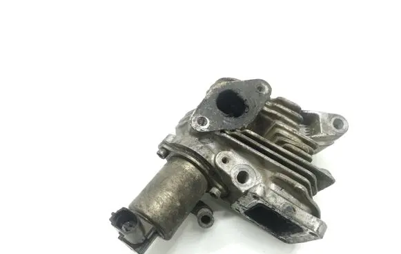Renault Scenic II - Grand scenic II EGR valve 3129003