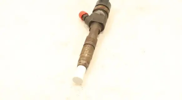 Renault Megane II Fuel injector 0445110230