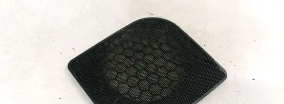 Side speaker trim/cover