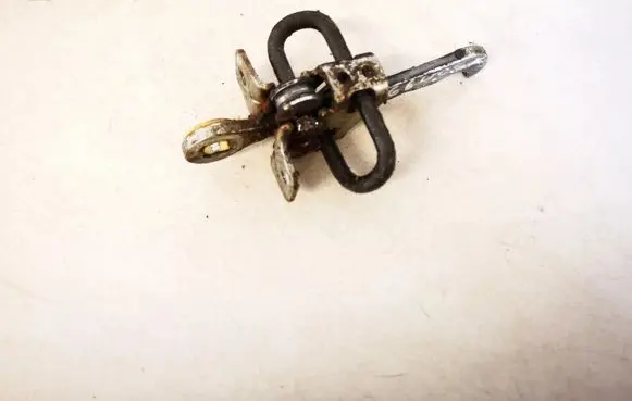 Rear door check strap stopper