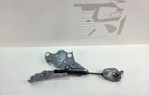 BMW X5 G05 Engine bonnet/hood hinges 