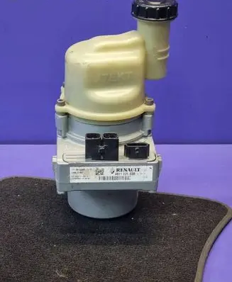 Dacia Sandero Power steering pump 491102583R